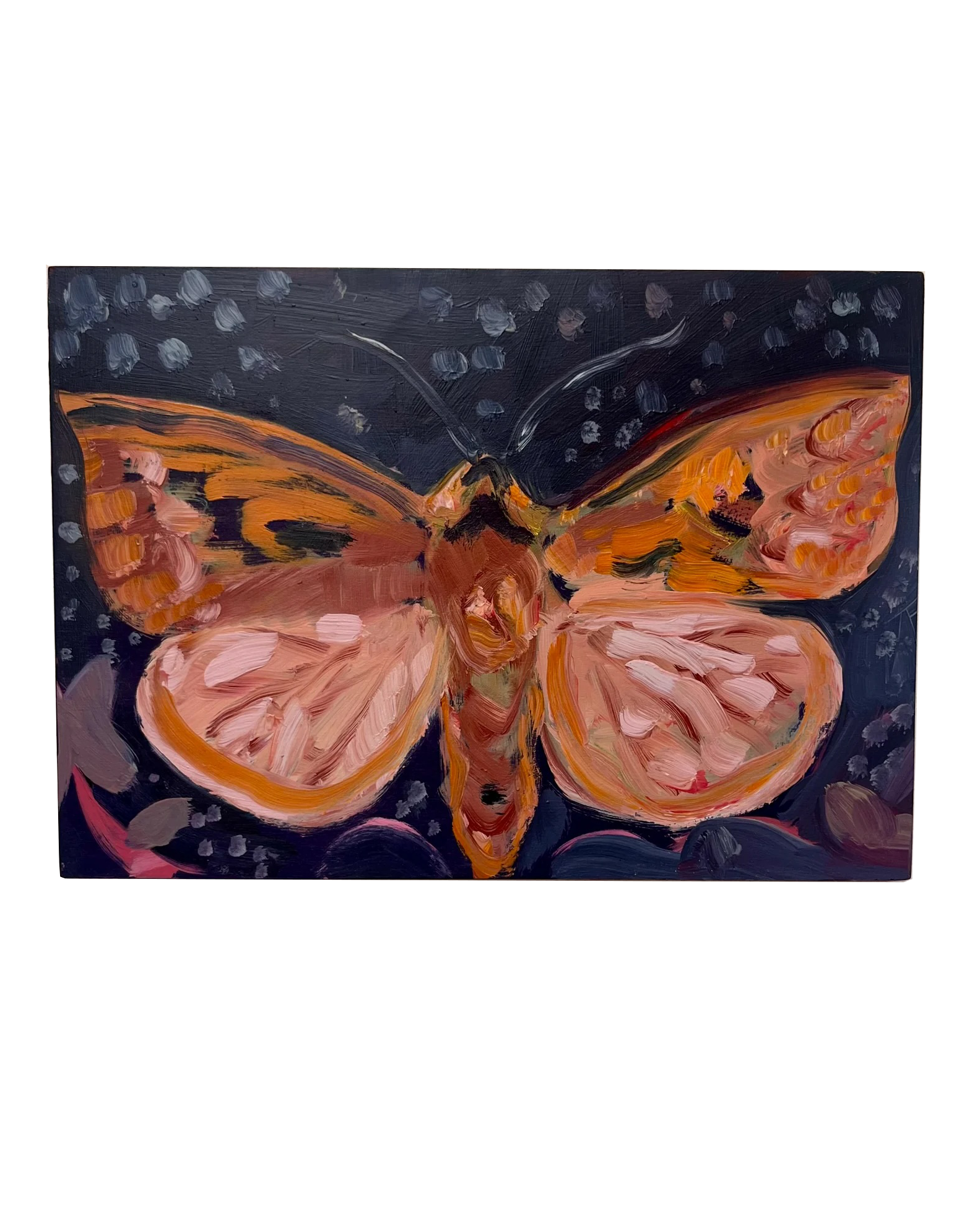 Heart and Dart Moth, Original