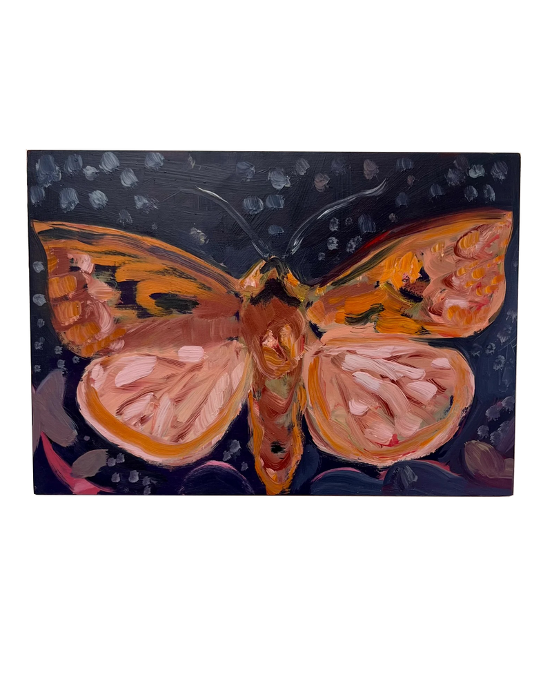 Heart and Dart Moth, Original